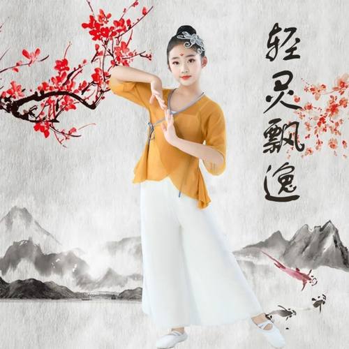 儿童身韵纱衣舞蹈练功服