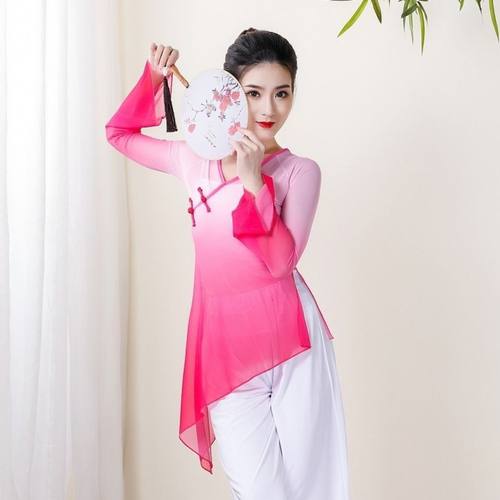 女飘逸表演练功服纱衣中