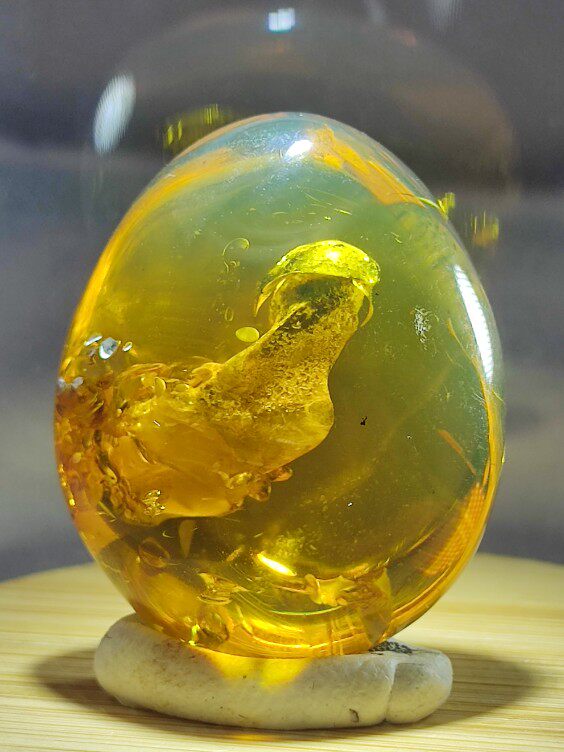 奇特植物吊坠名琥堂天然缅甸琥珀化石