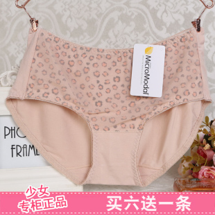 网纱蕾丝边性感中腰女士内裤 满六送一清仓少女内裤 莫代尔底档 包邮