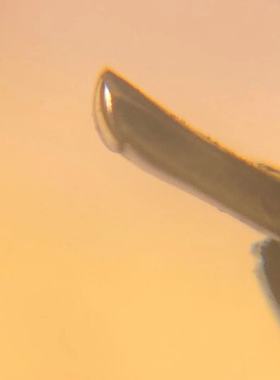 正品上海总厂英雄616 长刀研  纯手工打磨钢笔  复古  写感好暗尖