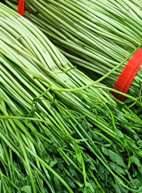 当日新鲜应季蔬菜农家自种原生态带叶小叶水芹菜现摘现发包邮