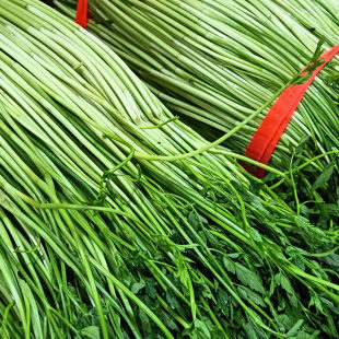 当日新鲜应季蔬菜农家自种原生态带叶小叶水芹菜现摘现发包邮