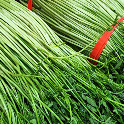 当日新鲜应季蔬菜农家自种原生态带叶小叶水芹菜现摘现发包邮