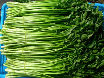 新鲜蔬菜原生态野水芹菜小叶水芹菜无节水芹农家自种2斤装包邮