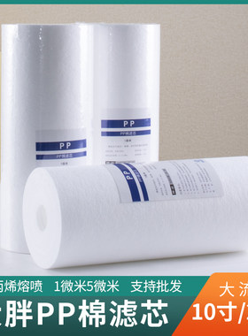10寸20寸大胖PP棉滤芯
