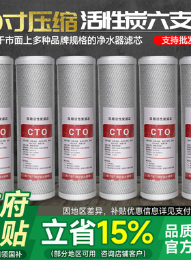 10寸CTO压缩活性炭通用家用过滤芯净水器滤芯纯水机 净水机配件