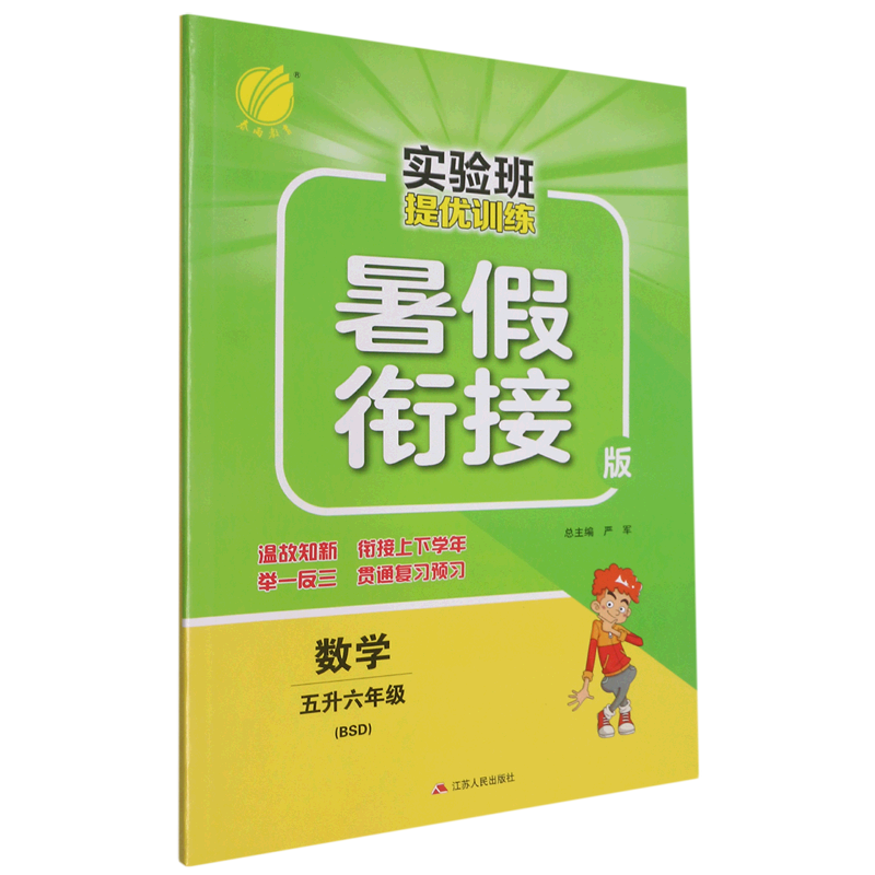 数学(5升6年级BSD暑假衔接版)/实验班提优训练属于什么档次？