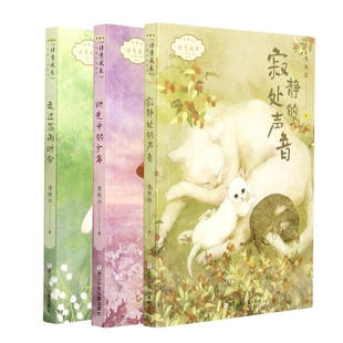 李秋沅诗意成长少年小说系列3册任选 寂静处的声音 时光中的少年 走过落雨时分 小学生二三四年级课外书阅读寒暑假阅读课外正版