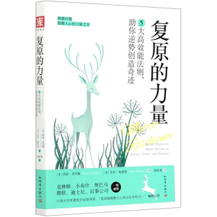 5大高效能法則助你逆勢創造奇跡 力量 復原
