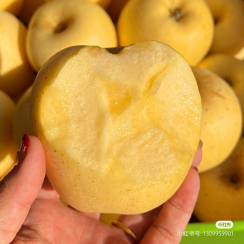 买过必回购！正宗维纳斯苹果
