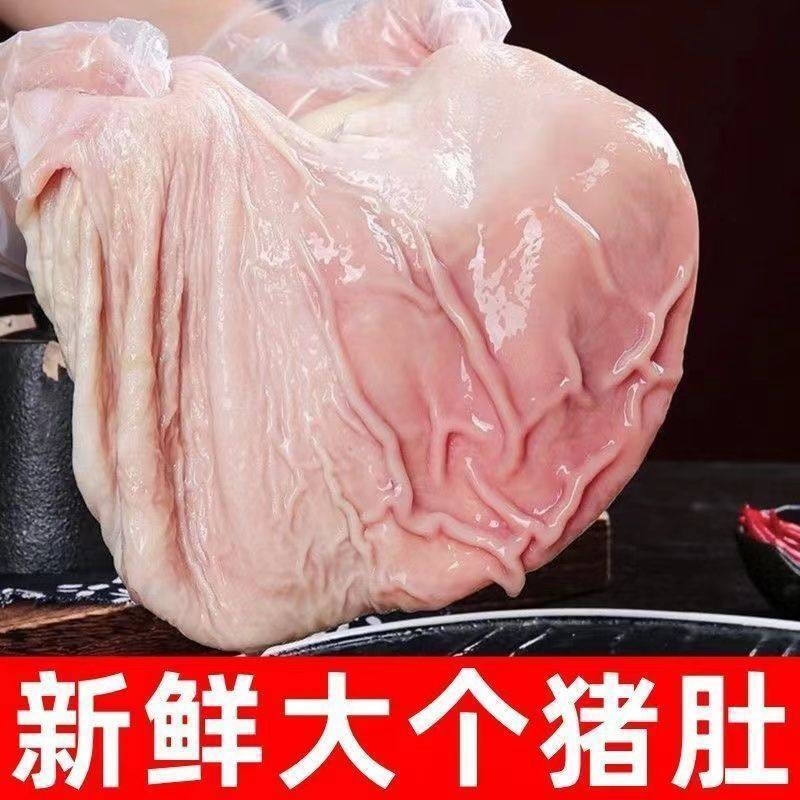 新鲜猪肚现杀整个猪肚无注水猪胃散养土猪猪肚子养胃营养滋补猪肚,水产肉类/新鲜蔬果/熟食,猪肚,淘宝优惠券,粉丝福利购,淘宝优惠卷