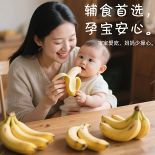高山有机方式 种植农家超甜芝麻香蕉新鲜水果自然熟无添加孕宝辅食
