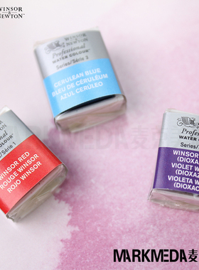 进口WINSOR温莎牛顿艺术家级专家级固体水彩颜料半块单块补充色