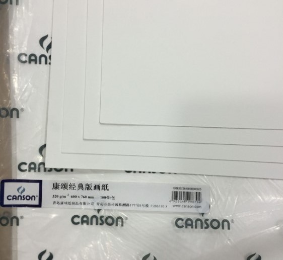 Canson新 康颂经典版画纸320g/250g亮白/细纹60x76半开80x120全开
