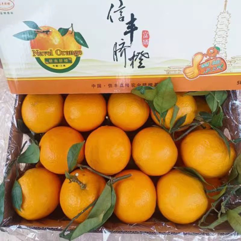 江西信丰赣南脐橙新鲜橙子
