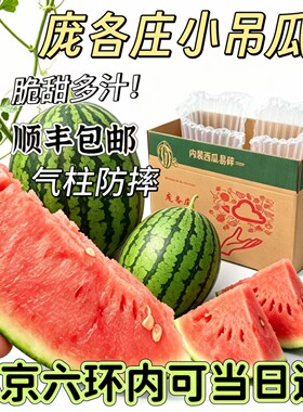 北京大兴庞各庄L600手剥西瓜吊瓜