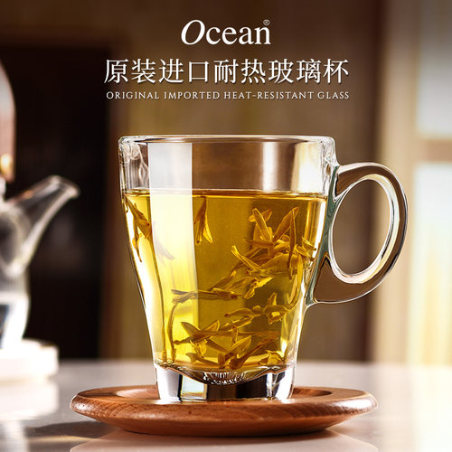 玻璃茶杯Ocean/鸥欣玻璃喝绿茶