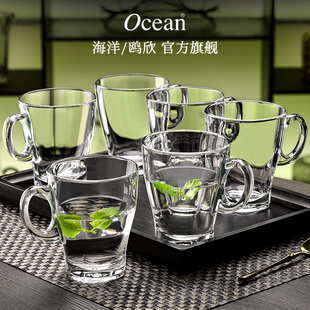 Ocean鸥欣玻璃耐热带把手泡茶杯透明玻璃杯男女喝水杯办公室套装