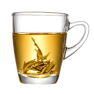 ocean鸥欣进口茶杯玻璃杯男带把手办公室泡茶绿茶杯水杯家用杯子