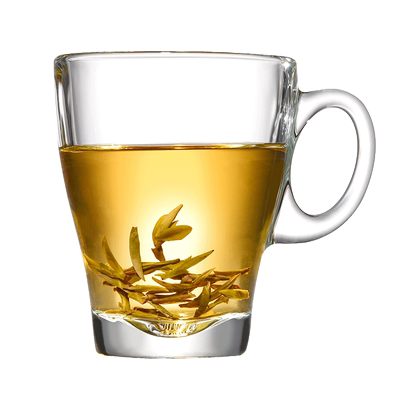 玻璃茶杯Ocean/鸥欣玻璃喝绿茶