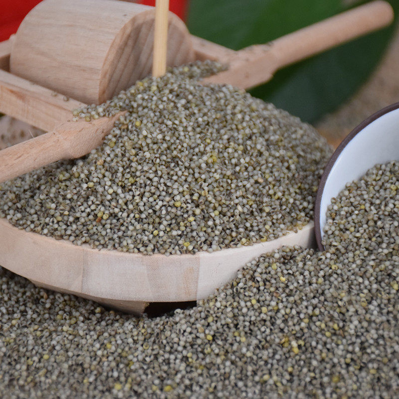 山西特产武乡黑小米新米农家自产黑色小米月子小米五谷杂粮500g