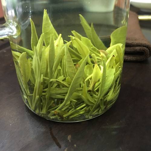 新茶兰香型袋装黄山毛峰