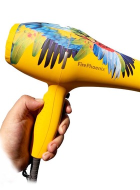 火之凤吹风机正品5600A鹦鹉发型师专用电吹风大功率风筒发廊专业