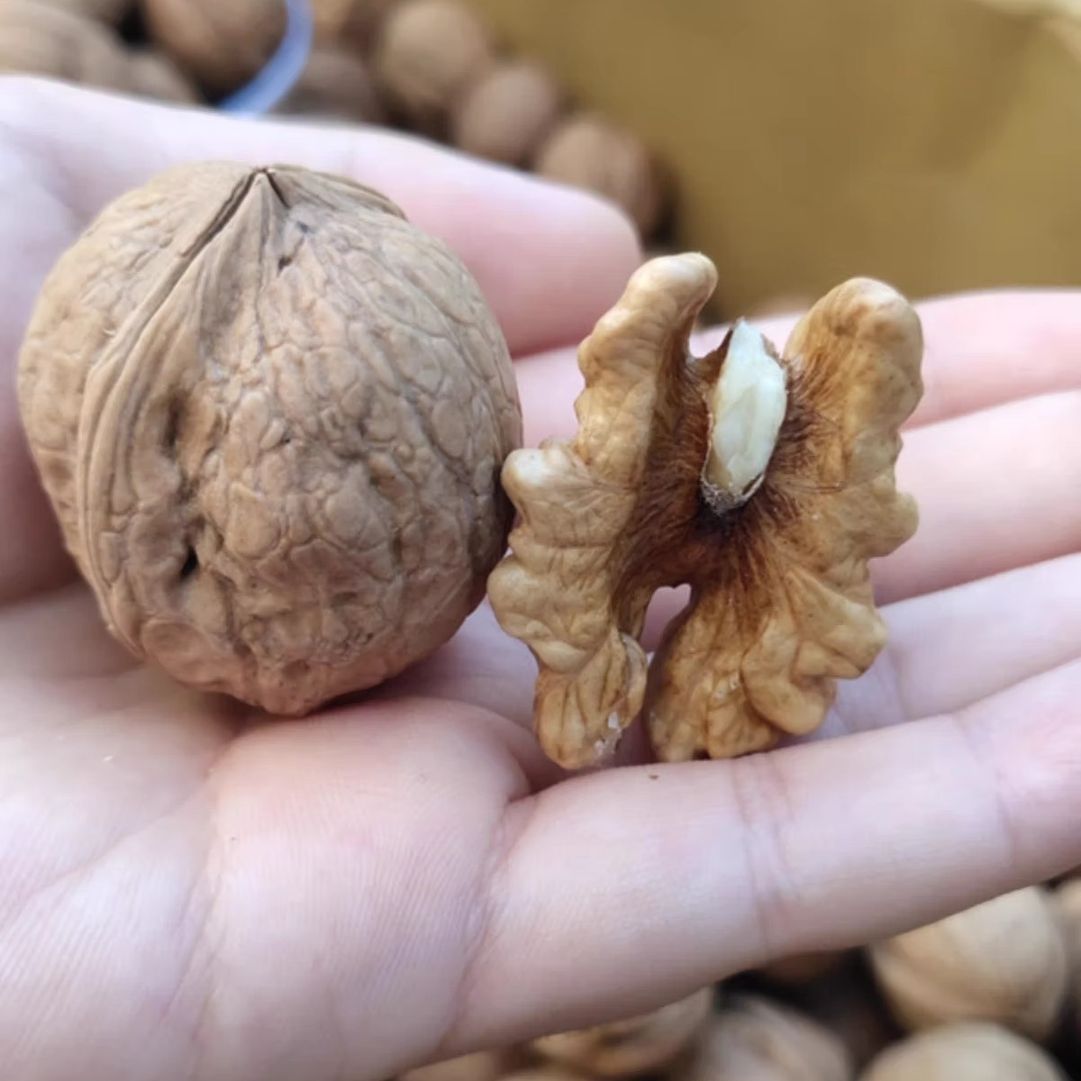 薄皮核桃阿克苏新货原味500g坚果