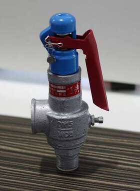 安全阀A28H-25C 317空气318蒸汽SnW台湾SS锅炉NCD安全阀DR-1000