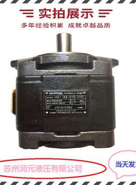 法国HPI齿轮泵P1CAN2008XA40C03N 货期短 当天发货