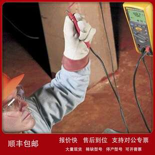 Fluke福禄克 F1508 绝缘电阻测试仪 数字 兆欧表议价