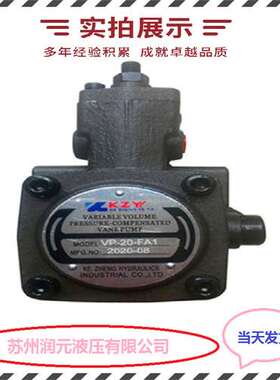 法国HPI齿轮泵P1CBN3025HL20C04S 质量好 库存充足