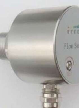 热导式流量开关    XRS-EA-FS500