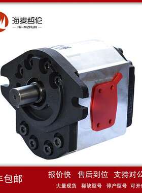 SETTIMA螺杆泵GR47C050FSBACOD平键 50cc压铸机伺服配套螺杆油泵