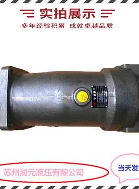 法国HPI齿轮泵P1CBN3040HD3040HL20C04N 低噪音 快速发货