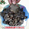 野生菌黑松露菌幹貨片雲南農家土特産精選特級公塊豬拱菌養生蘑菇