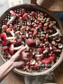 山河星三明清流野生红菇香红蘑菇蕾红菇子干货孕妇月子红椎菌野货