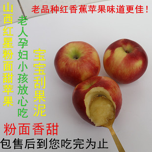 粉面沙甜苹果宝宝刮泥婴儿老年人吃孕妇新鲜老品种红星水果红香蕉