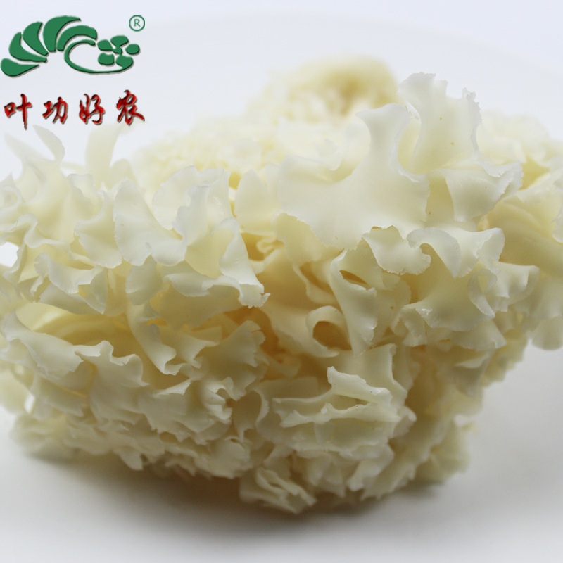 新鲜绣球菌1000g/盒食材配菜菜品