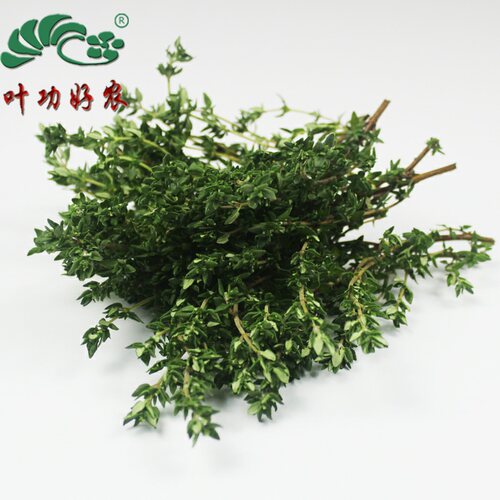 新鲜香料 西餐香料 新鲜百里香Thyme 百里香香叶 250g - 封面