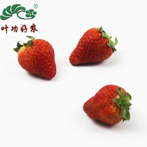 蛋糕装饰烘焙用草莓酸甜新鲜水果