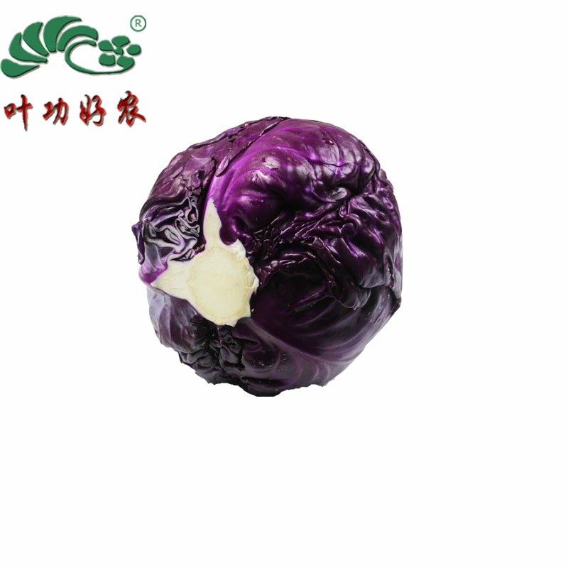 新鲜蔬菜紫甘蓝紫圆包菜蔬菜沙拉生菜 1000g