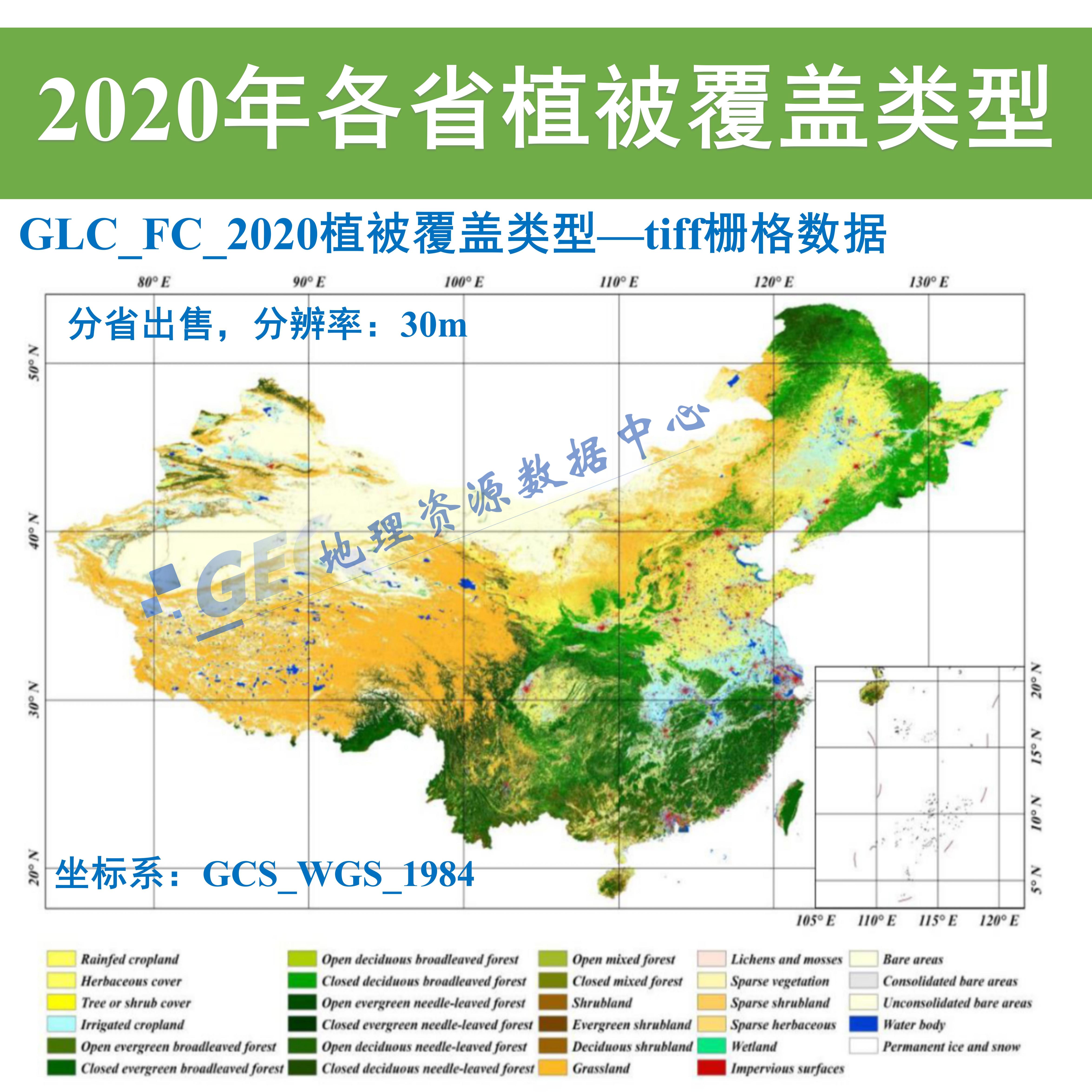 中国30m分辨率植被覆盖类型分布栅格数据Arcgis2020年植被类型