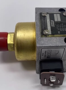 德国 FEMA 压力开关 VCMV101