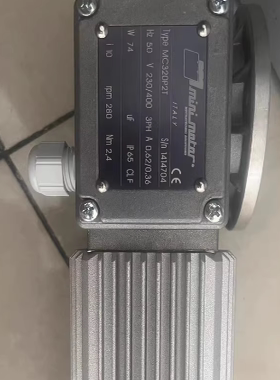 意大利minimotor型号MC320P2T