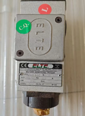 意大利ELTE马达  STK21 65/2