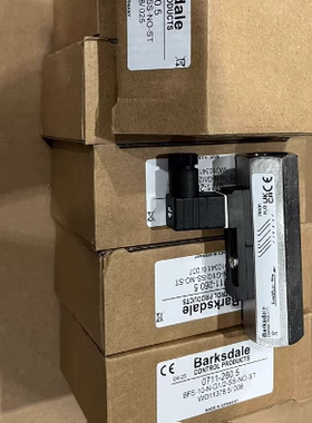 BARKSDALE巴士德流量开关 BFS-10-N-G1/2-SS-NO-ST  0711-260.5