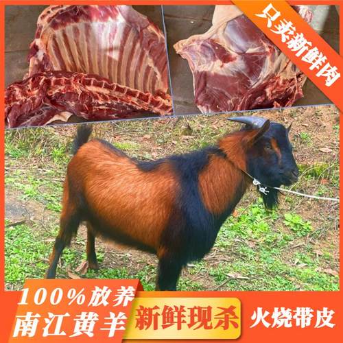 新鲜现杀散养肉带皮羊腿羊排羊腩羊蝎羊杂山羊肉5斤特产