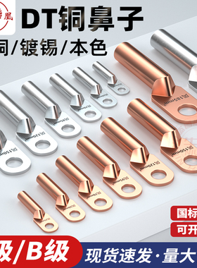 正品凤凰铜鼻子国标加厚紫铜线耳接线端子铜接头电缆接头DT系列